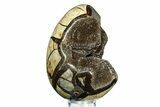 Septarian Dragon Egg Geode - Sparkly Black Crystals #308824-2